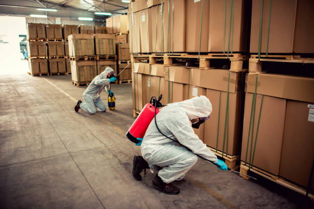 Best Cockroach Control Services  in Delta, CO