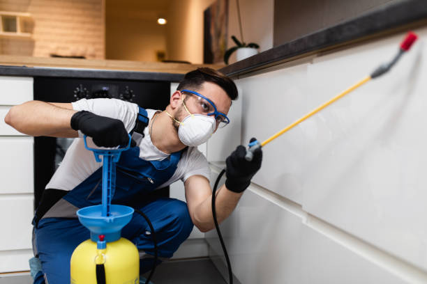 Best Pest Prevention Services  in Delta, CO