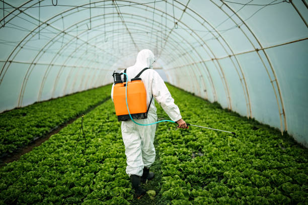 Best Local Pest Control Services  in Delta, CO