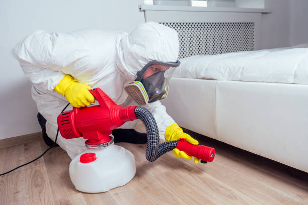 Best Pest Removal Services  in Delta, CO