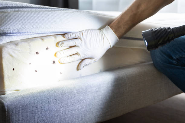 Best Best Pest Control Companies  in Delta, CO