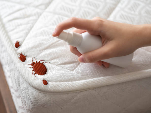 Best Insect Control  in Delta, CO