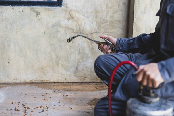 Best Rat Extermination Near Me  in Delta, CO