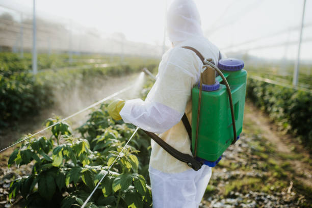 Reliable Delta, CO Pest Control Solutions